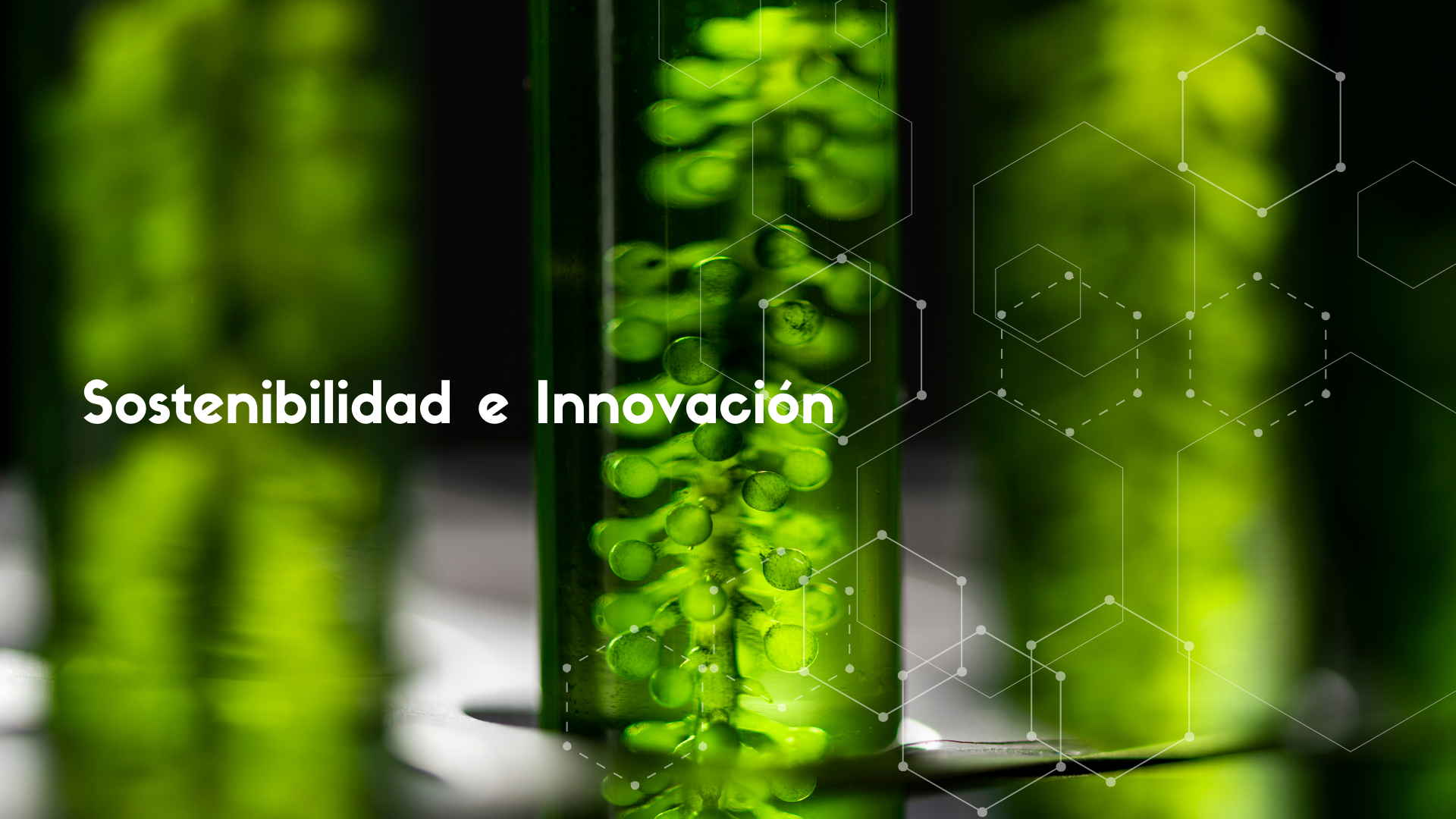 Sostenibilidad e Innovación